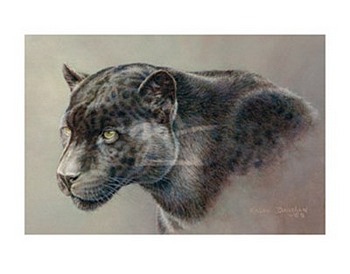 Shadow Hunter - Black Jaguar by artist Kalon Baughan. Art prints, animal art; wildlife art; from an original oil painting