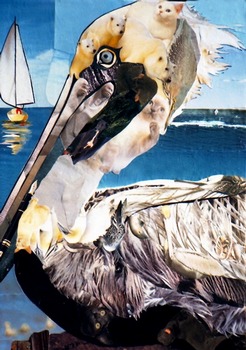 Pelican by artist Marjorie Pesek. Giclee prints, art prints, collage