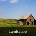 Browse Landscape Art